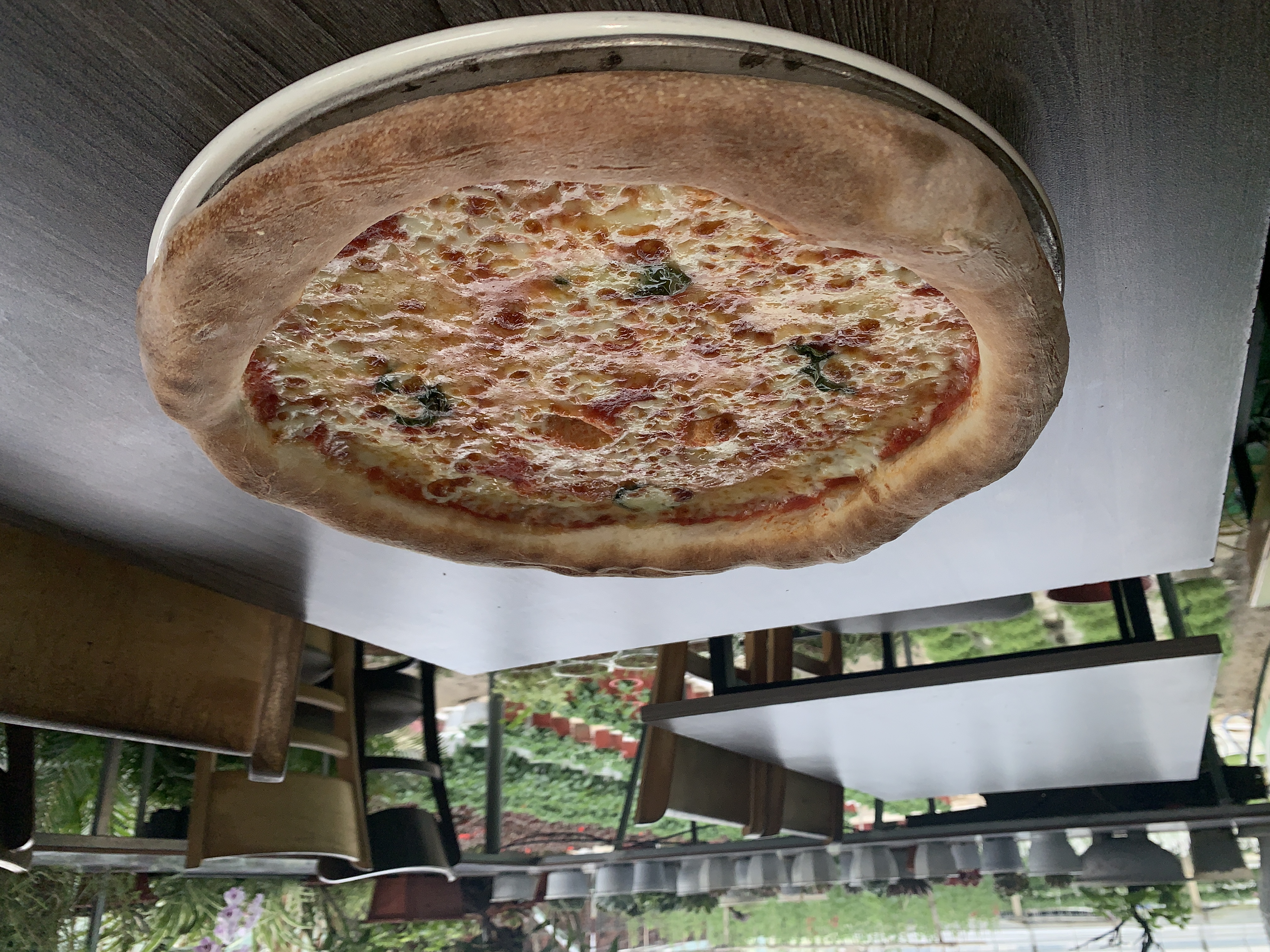 Margerita